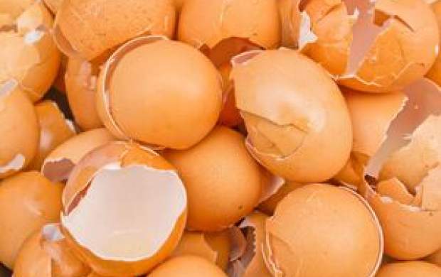 پوست‌ تخم‌مرغ را به این ۸ دلیل دور نریزید