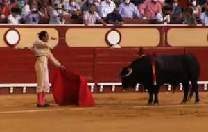 زجرکش کردن یک گاو در یک مراسم غربی  <img src="https://cdn.jahannews.com/images/video_icon.gif" width="16" height="13" border="0" align="top">