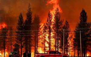 ۶ کشته و ۲۰۰ هزار آواره در آتش‌سوزی کالیفرنیا