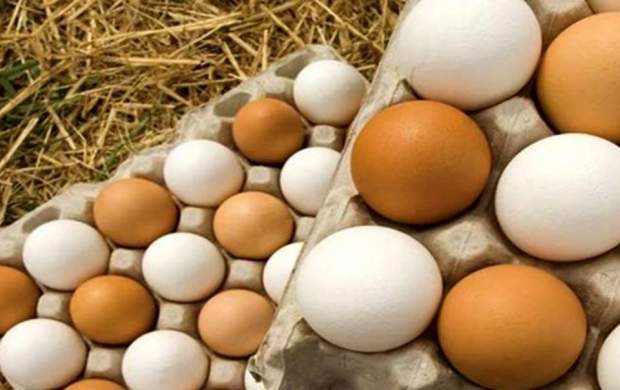 چرا تخم‌ مرغ گران شد؟