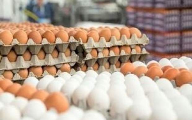 قیمت تخم‌مرغ به شانه‌ای ۳۸ هزار تومان رسید