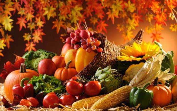 چند توصیه کلیدی برای تغذیه در فصل پاییز