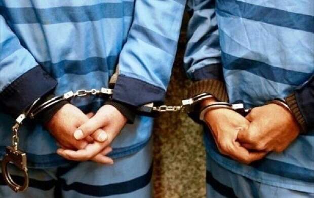 دستگیری ۱۱ نفر اراذل و اوباش در اهر