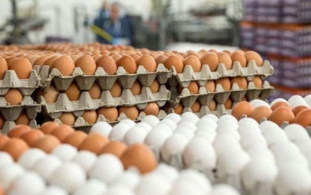 قیمت مرغ و تخم‌مرغ در بازار