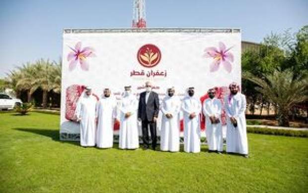 «زعفران قطری» جدیدترین شاهکار دولت!