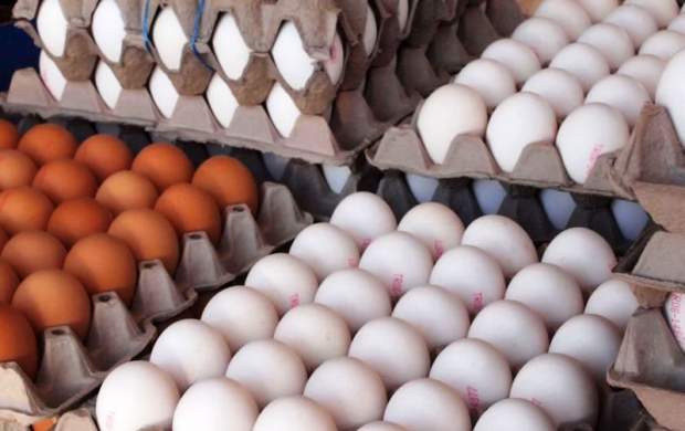 الزام درج قیمت ۱۱۰۰ تومانی بر روی هر تخم مرغ