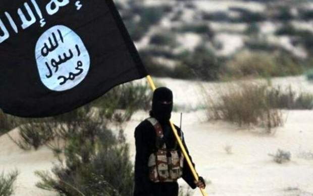 داعش رسماً از جنگ با انصارالله یمن خبر داد
