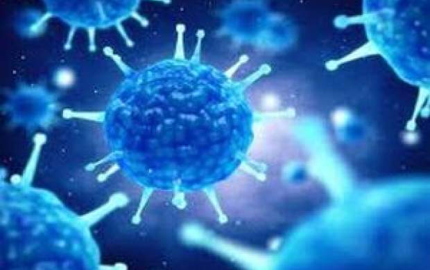 کمک ویروس سرماخوردگی به مقابله با کرونا