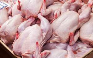 جزئیات توزیع مرغ در بازار کشور