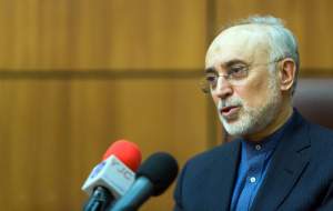 آژانس با تروریسم هسته ‎ای برخورد کند/ حق خود را برای اقدام علیه عاملان و آمران و مباشران محفوظ می‎دانیم