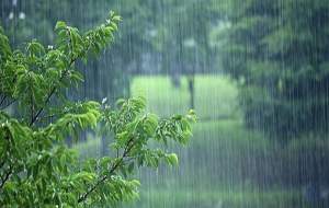 رگبار باران و وزش باد شدید در بیشتر استان‌ها