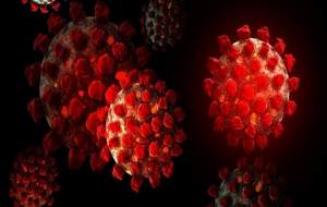 درباره گونه آفریقایی ویروس کرونا چه می‌دانید؟