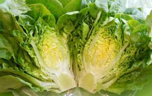 فواید جادویی کاهو برای بیماران دیابتی