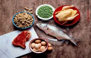 کمبود پروتئین چه بر سر بدن می‌آورد؟