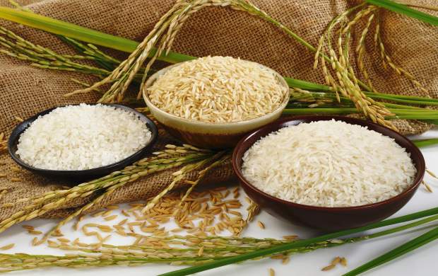 قیمت برنج خارجی افزایش نداشته است
