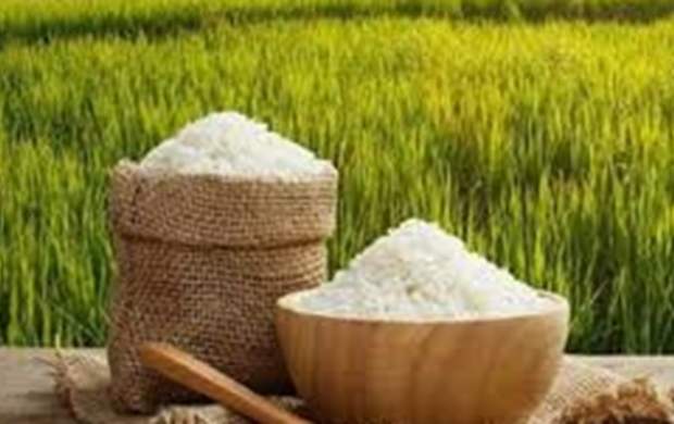 دلایل افزایش ۳۸ درصدی قیمت برنج