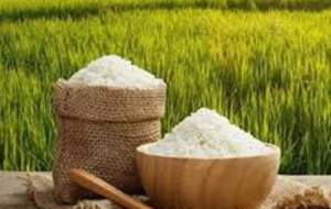 دلایل افزایش ۳۸ درصدی قیمت برنج