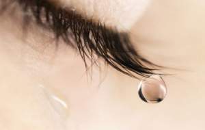 انسان چند نوع اشک دارد؟