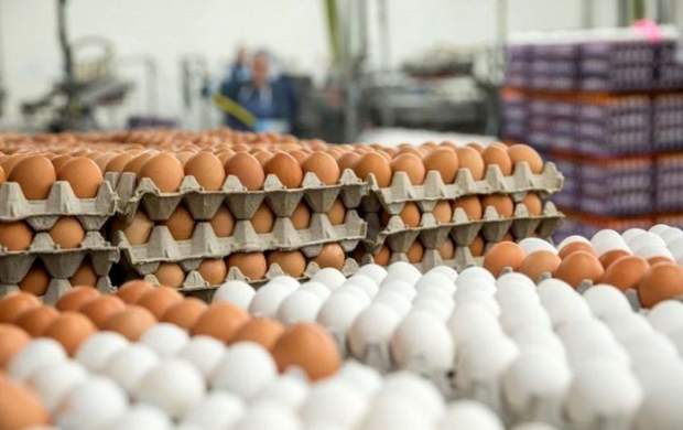 دولت روحانی چگونه بازار تخم‌مرغ را به هم ریخت؟