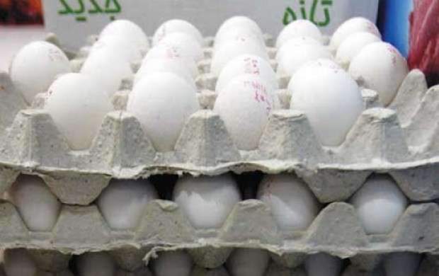 تخم مرغ رسما گران شد