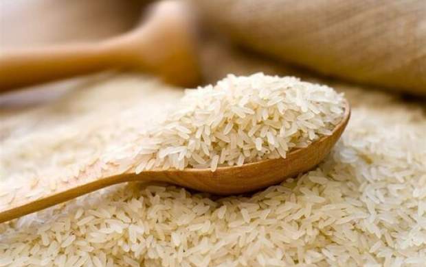 کاهش قیمت برنج در شمال کشور