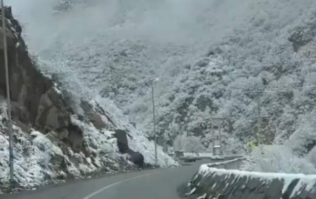 ویدئو زیبا از طبیعت برفی جاده چالوس