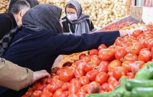 کاهش مجدد قیمت گوجه‌فرنگی تا هفته آینده