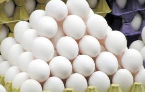 تخم مرغ شانه‌ای چند؟
