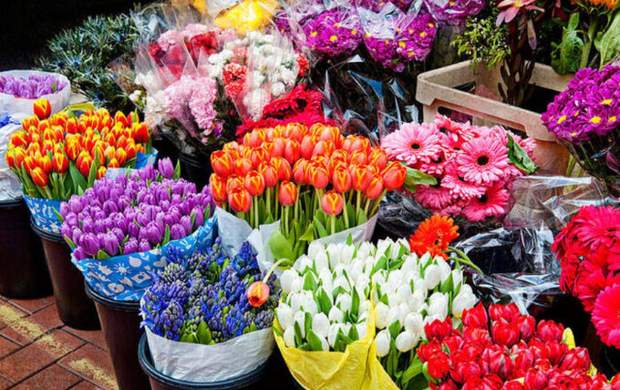 گرانی گل در آستانه روز مادر +قیمت‌ها