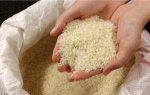 برنج ۹۰ هزار تومانی، ۳۵ هزار تومان خریداری شده