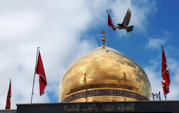 چگونه می توانیم یاری‌گر حضرت زینب باشیم؟