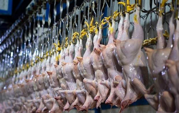 کاهش مجدد قیمت گوشت مرغ تازه تنظیم بازار