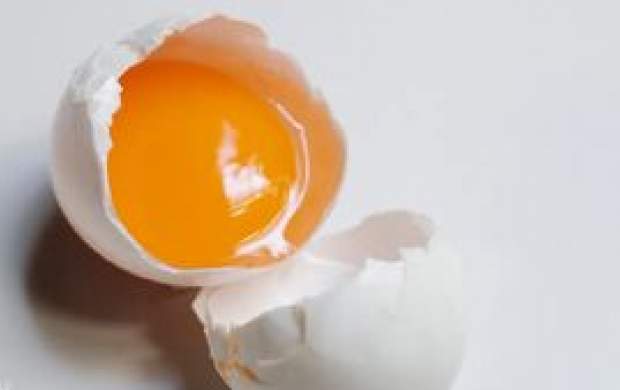 خوردن تخم مرغ خام مضر است؟