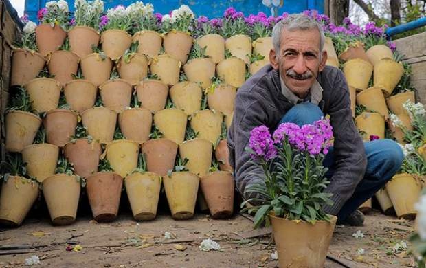 حمایت شهرداری تهران از تولیدکنندگان گل و گیاه