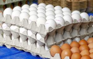 کشف ۱۷ تن تخم‌ مرغ احتکار شده در سبزوار