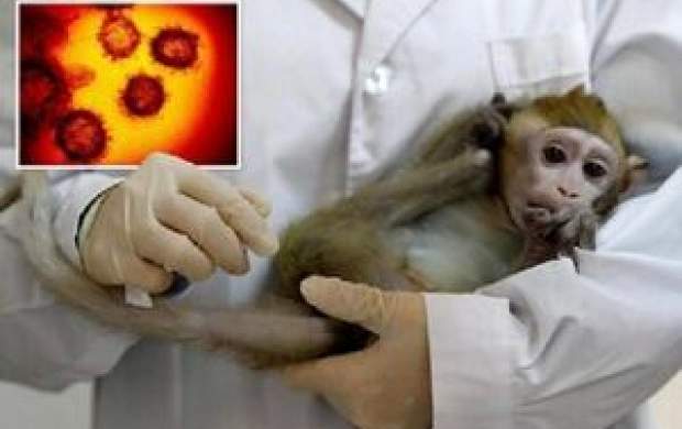 علائم اولیه ابتلا به آبله میمون