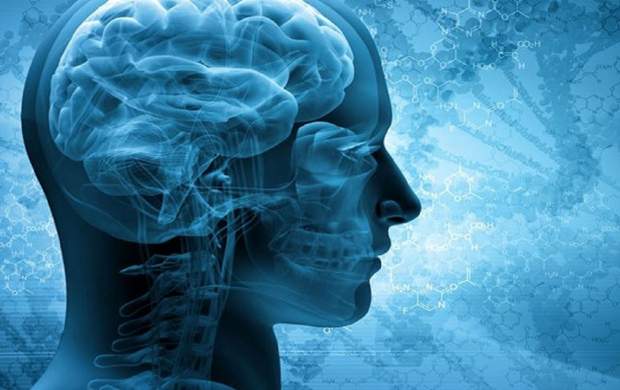 در مغز انسان چه می‌گذرد؟