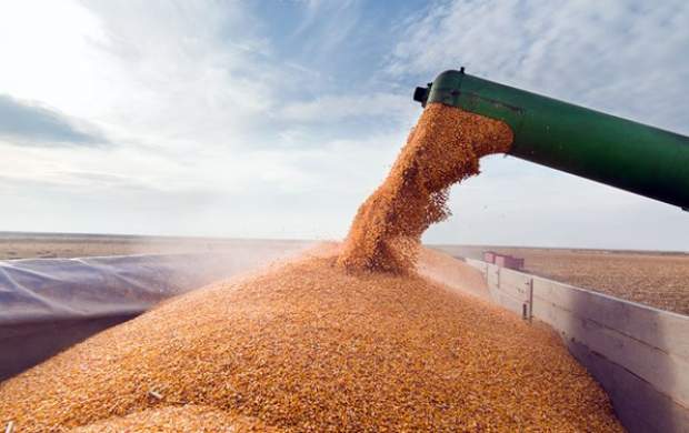 خبر بد اوکراین برای بازار محصولات کشاورزی
