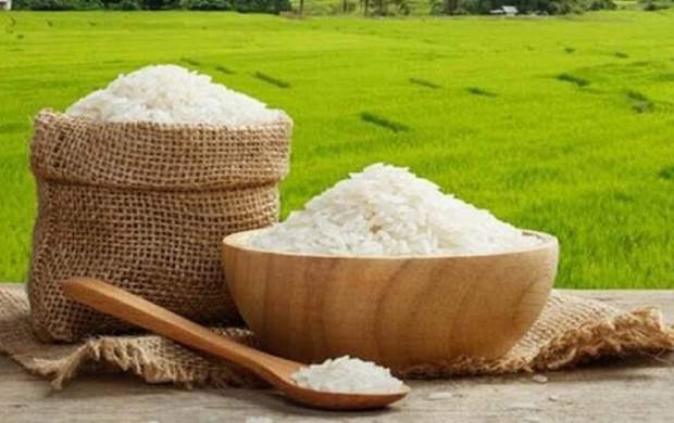 قیمت برنج کاهش می‌یابد؟