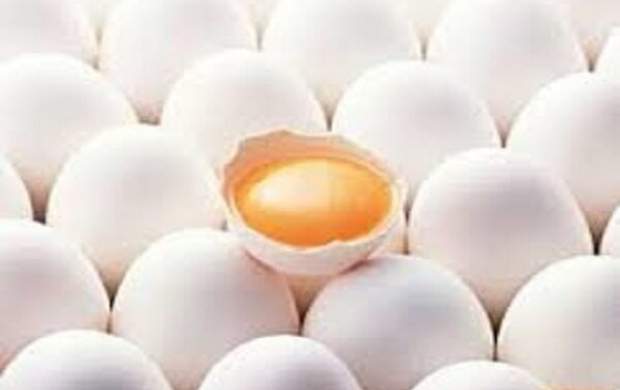 تخم‌مرغ در وعده صبحانه مفید است یا مضر؟