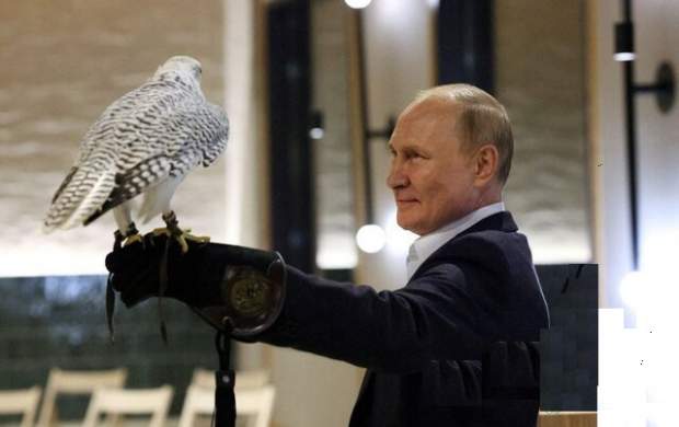 بازی پوتین با شاهین سفید در کاخ کرملین