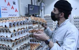 قیمت مرغ و تخم‌مرغ اصلاح می‌شود