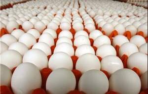 نرخ پیشنهادی برای هر کیلو تخم مرغ اعلام شد