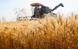 تلاش شرکت‌های اسرائیلی برای نفوذ در کشاورزی ایران