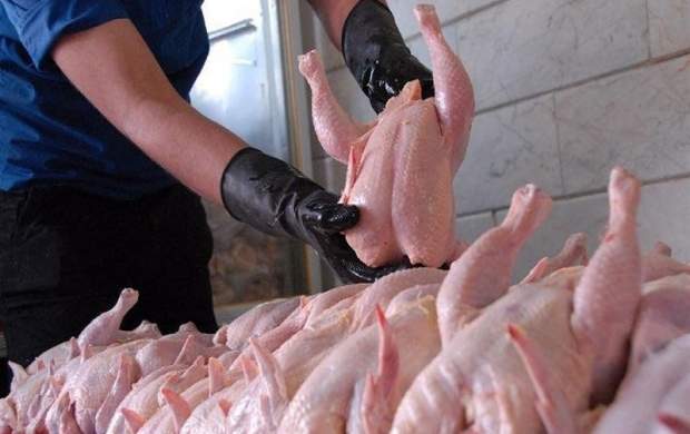 پیش‌بینی کاهش دوباره قیمت مرغ