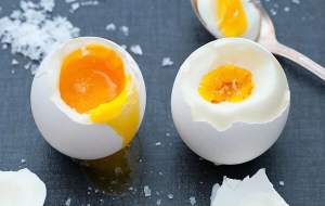 چرا تخم مرغ یک غذای کامل برای بدن است؟