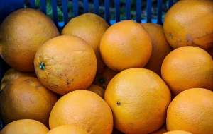 پرتقال در بازار فراوان شد
