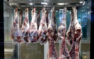 زمان کاهش قیمت گوشت قرمز