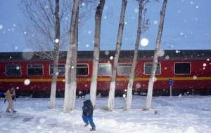 قطار تهران-شیراز به دلیل نقص فنی در برف ماند