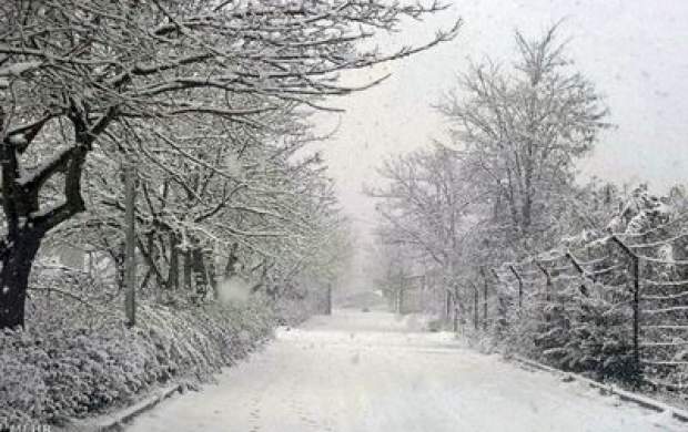فیلم/ بارش شدید برف در استان مرکزی